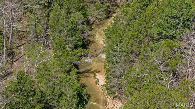 10303 Woodberry Rd, Potosi, MO 63664 - aerial view