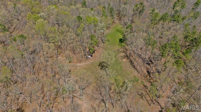 10303 Woodberry Rd, Potosi, MO 63664 - aerial view of property and surrounding area