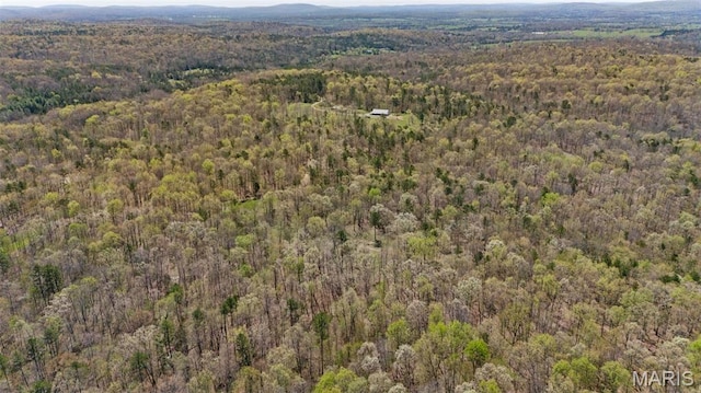 10303 Woodberry Rd, Potosi, MO 63664 - aerial view of property's location featuring a heavily wooded area