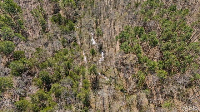 10303 Woodberry Rd, Potosi, MO 63664 - aerial overview of property's location