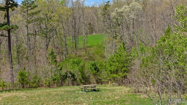 10303 Woodberry Rd, Potosi, MO 63664 - view of community with a wooded view and a lawn
