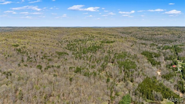 10303 Woodberry Rd, Potosi, MO 63664 - view of property location featuring a forest