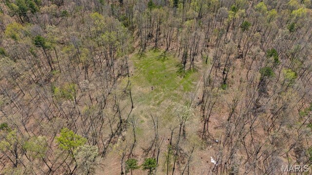 10303 Woodberry Rd, Potosi, MO 63664 - view of property location