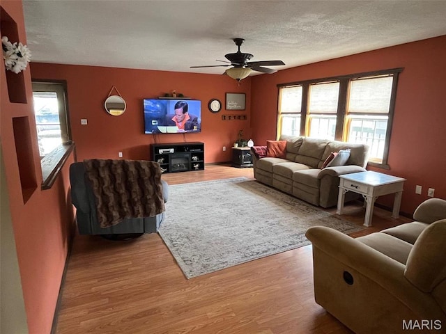 10303 Woodberry Rd, Potosi, MO 63664 - living room featuring plenty of natural light, light wood-style flooring, a ceiling fan, and a textured ceiling