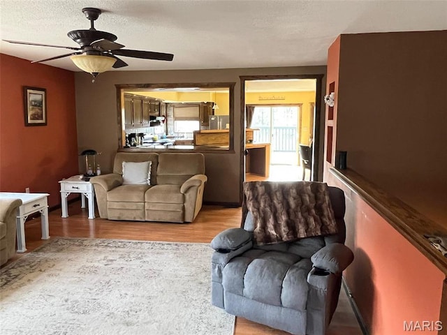 10303 Woodberry Rd, Potosi, MO 63664 - living room featuring a ceiling fan and wood finished floors