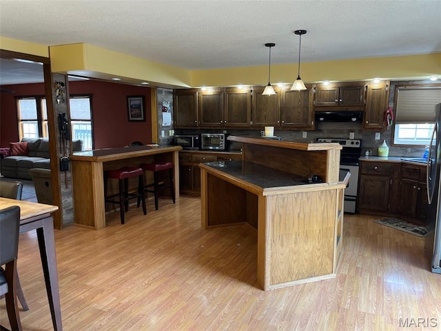 10303 Woodberry Rd, Potosi, MO 63664 - kitchen featuring stainless steel appliances, range hood, light wood-type flooring, and dark brown cabinets