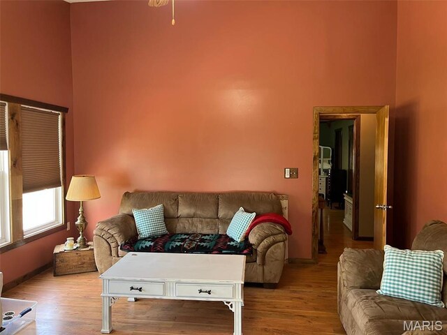 10303 Woodberry Rd, Potosi, MO 63664 - living area featuring wood finished floors, baseboards, and a high ceiling