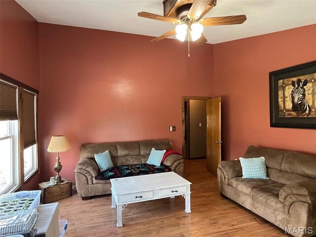 10303 Woodberry Rd, Potosi, MO 63664 - living area with ceiling fan and wood finished floors