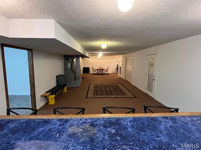 10303 Woodberry Rd, Potosi, MO 63664 - recreation room featuring a textured ceiling and carpet flooring