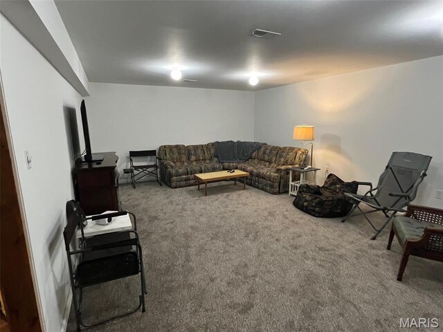 10303 Woodberry Rd, Potosi, MO 63664 - living area featuring carpet floors