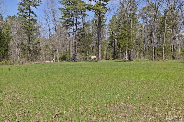 10303 Woodberry Rd, Potosi, MO 63664 - view of grassy yard with a view of trees
