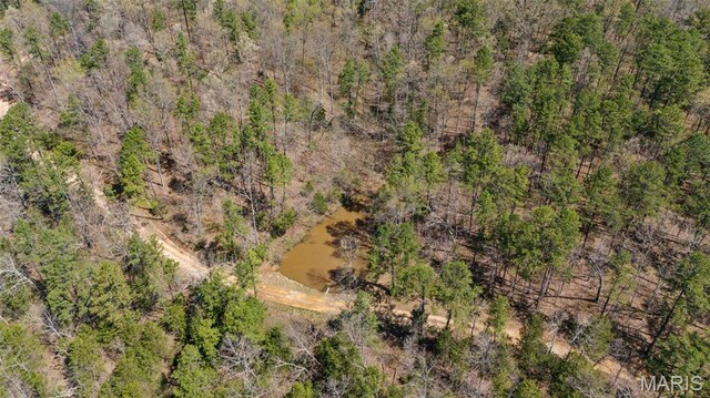 10303 Woodberry Rd, Potosi, MO 63664 - bird's eye view