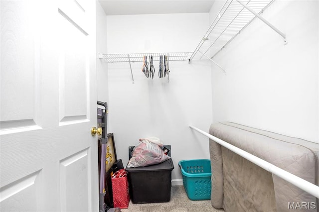 spacious closet with carpet floors
