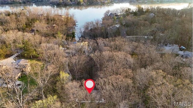 6518 S Lakeshore Dr, Hillsboro, MO 63050 - photo 2