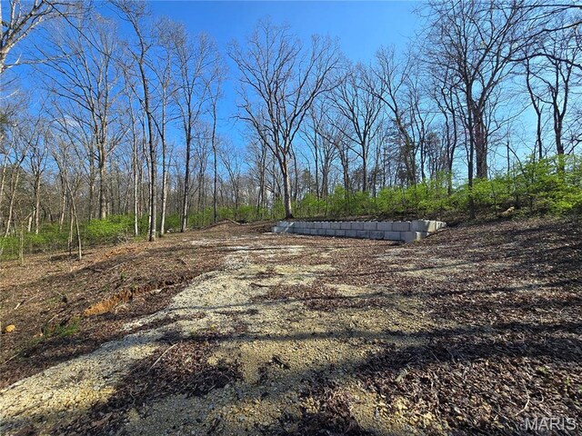 6518 S Lakeshore Dr, Hillsboro, MO 63050 - photo 5