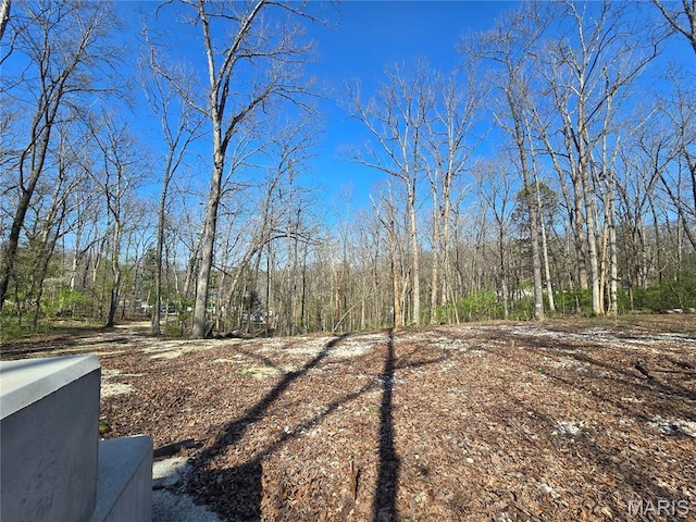 6518 S Lakeshore Dr, Hillsboro, MO 63050 - photo 6