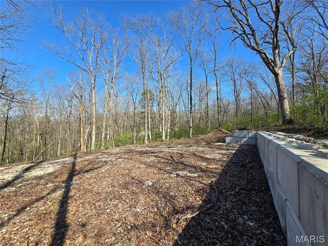 6518 S Lakeshore Dr, Hillsboro, MO 63050 - photo 7
