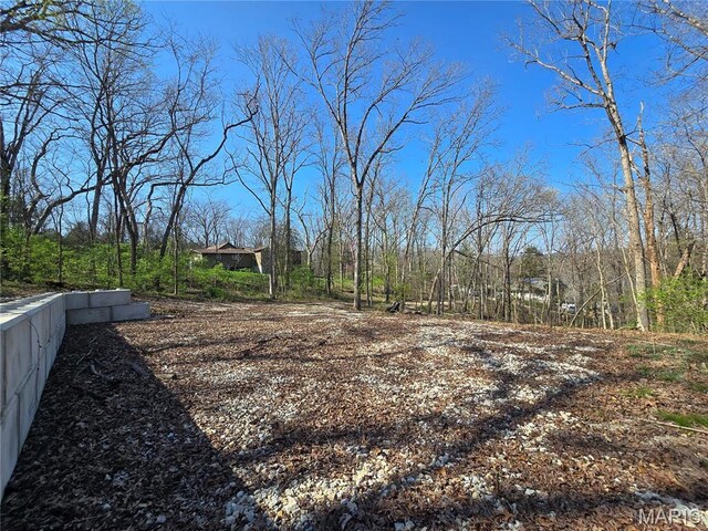 6518 S Lakeshore Dr, Hillsboro, MO 63050 - photo 8