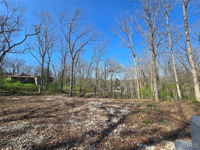 6518 S Lakeshore Dr, Hillsboro, MO 63050 - photo 9