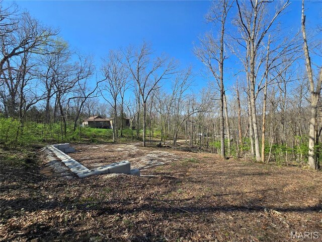 6518 S Lakeshore Dr, Hillsboro, MO 63050 - photo 10