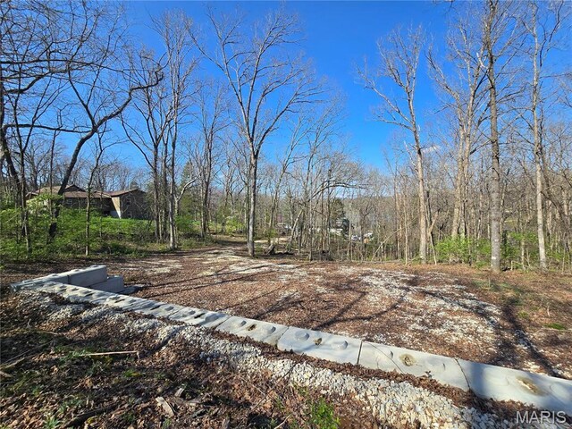 6518 S Lakeshore Dr, Hillsboro, MO 63050 - photo 11