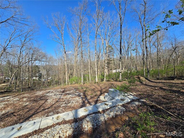 6518 S Lakeshore Dr, Hillsboro, MO 63050 - photo 12