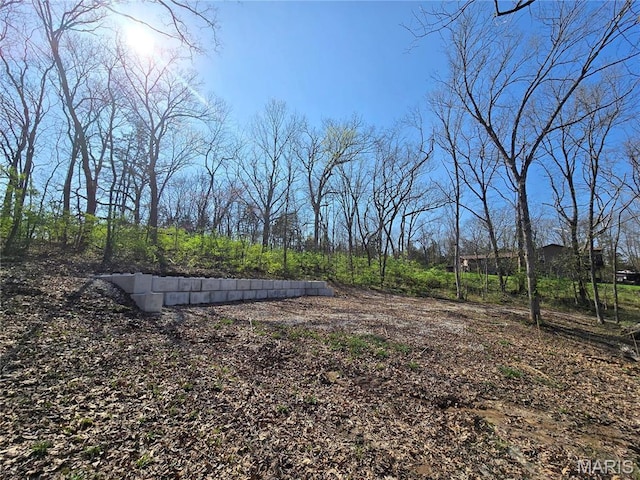 6518 S Lakeshore Dr, Hillsboro, MO 63050 - photo 13
