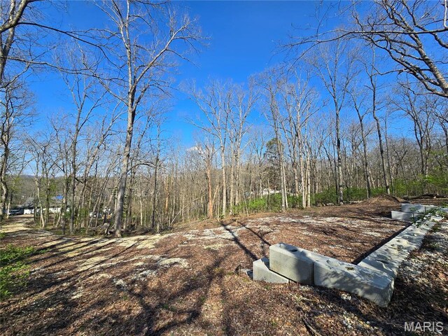 6518 S Lakeshore Dr, Hillsboro, MO 63050 - photo 15