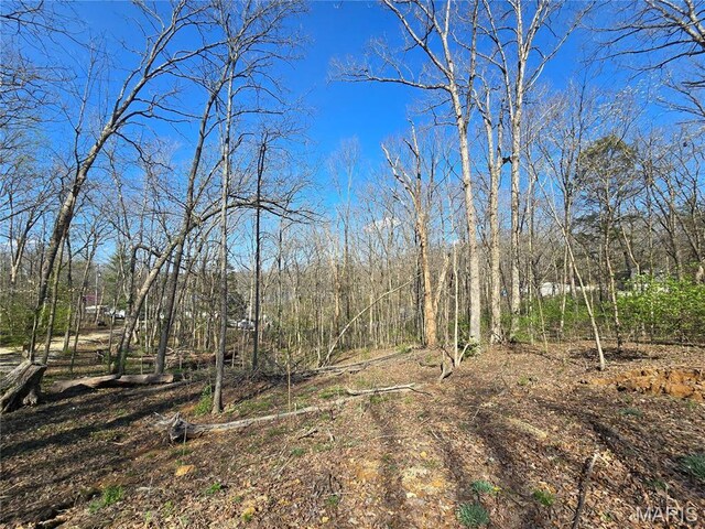 6518 S Lakeshore Dr, Hillsboro, MO 63050 - photo 16