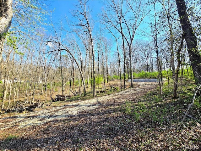 6518 S Lakeshore Dr, Hillsboro, MO 63050 - photo 17