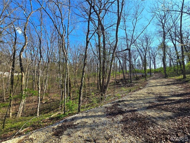 6518 S Lakeshore Dr, Hillsboro, MO 63050 - photo 18