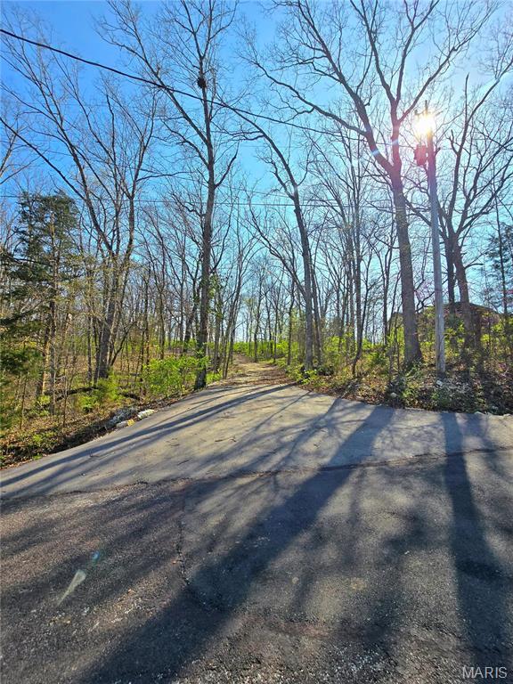 6518 S Lakeshore Dr, Hillsboro, MO 63050 - photo 19