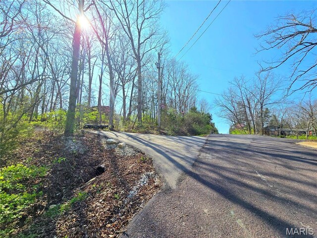 6518 S Lakeshore Dr, Hillsboro, MO 63050 - photo 21