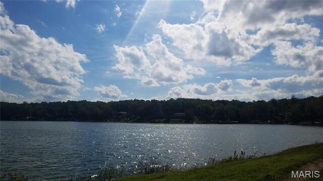 6518 S Lakeshore Dr, Hillsboro, MO 63050 - photo 33