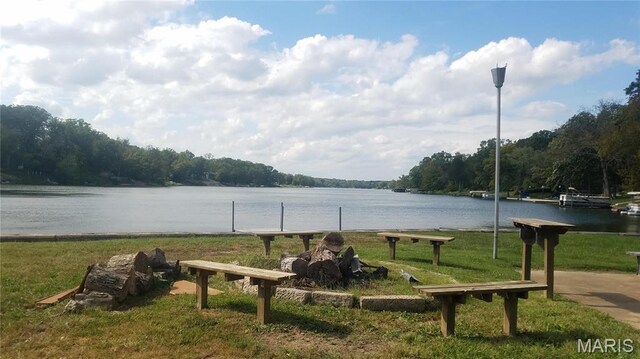 6518 S Lakeshore Dr, Hillsboro, MO 63050 - photo 39