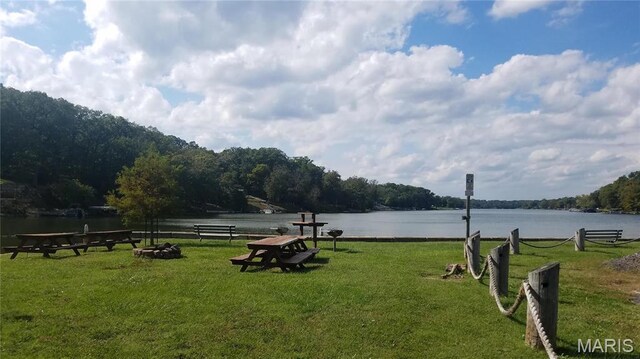 6518 S Lakeshore Dr, Hillsboro, MO 63050 - photo 42