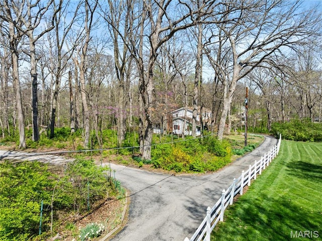 1536 S Mason Rd, Saint Louis, MO 63131 - surrounding community with driveway and a lawn