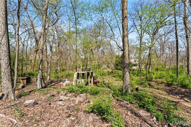 1536 S Mason Rd, Saint Louis, MO 63131 - view of yard