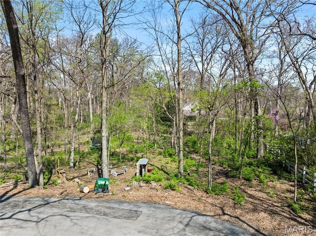 1536 S Mason Rd, Saint Louis, MO 63131 - view of yard