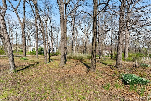 1536 S Mason Rd, Saint Louis, MO 63131 - view of yard