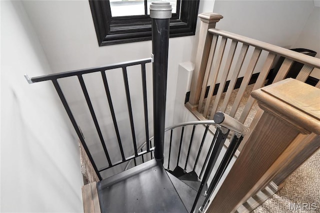 staircase with carpet flooring