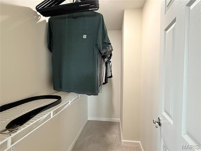 walk in closet with carpet floors