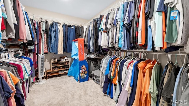 spacious closet with carpet floors