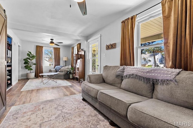 living room featuring a ceiling fan and wood finished floors
