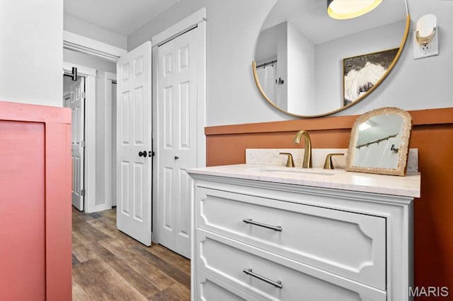 full bathroom featuring wood finished floors and vanity
