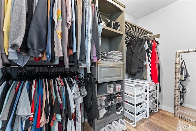 spacious closet featuring wood finished floors