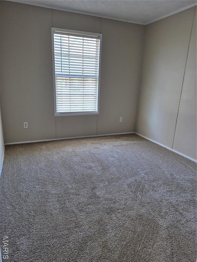 115 Maple St, Wardell, MO 63879 - photo 18