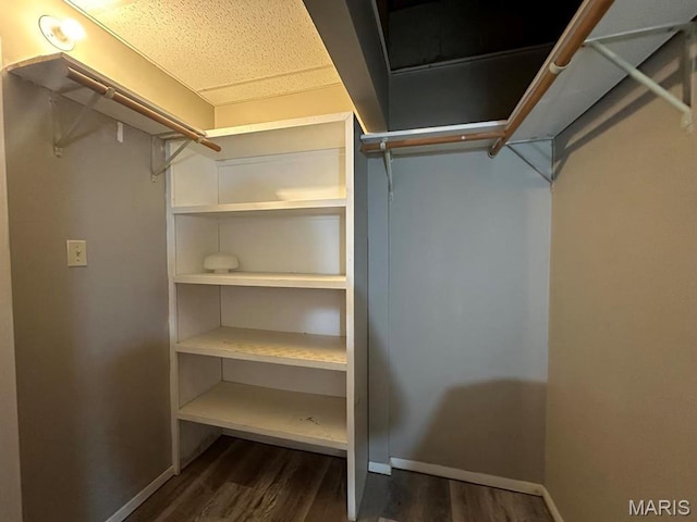 spacious closet with dark wood-style floors