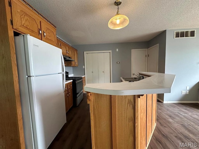 kitchen with freestanding refrigerator, electric range oven, a sink, under cabinet range hood, and dark wood-style flooring