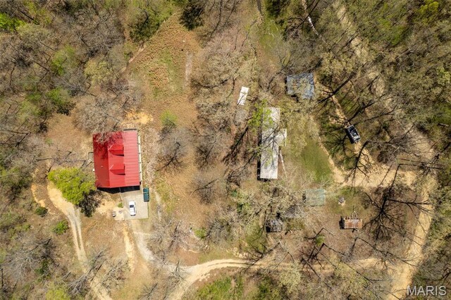 124 Wayne 527, Greenville, MO 63944 - aerial view of property and surrounding area